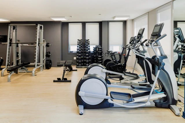 SOLO on Chestnut- 4233 2