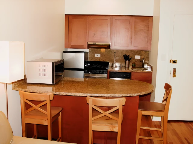 1522 N La Salle Dr 3