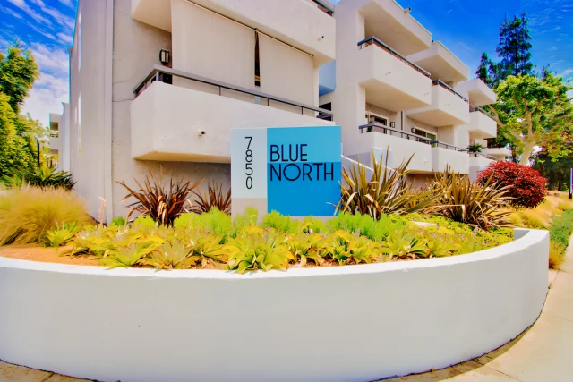 Blue North 3