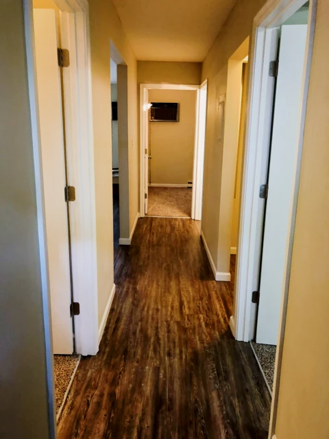 305 W. Elm St Urbana IL 1