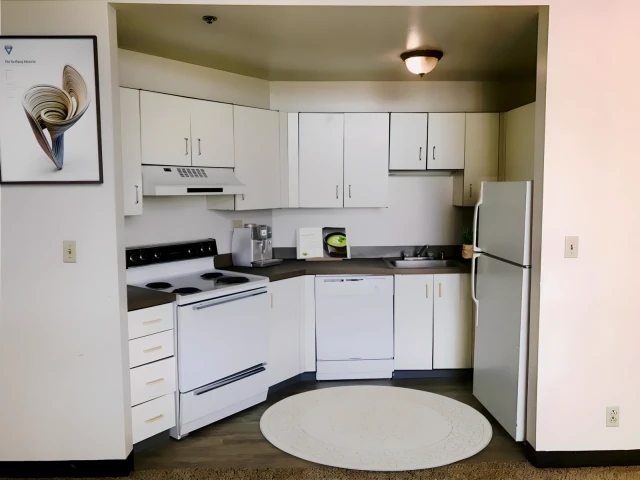 Delmar Loop Apartments 2