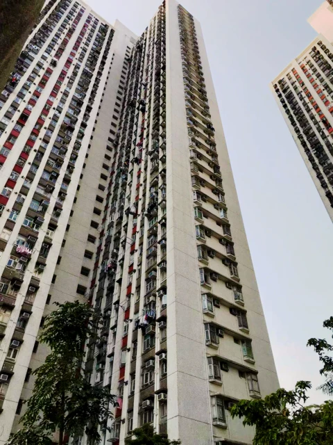 29/F, Block A, Tin Ma Court, Lok Fu (Female) 4