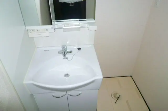 レオネクストジュピター 307号室 3