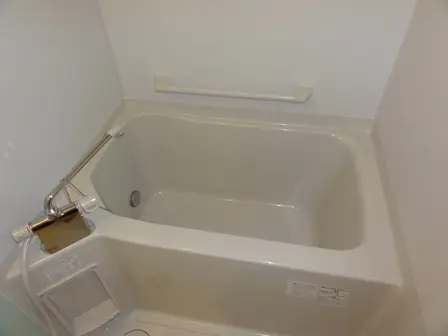 レオネクストネオグレイス 201号室 2