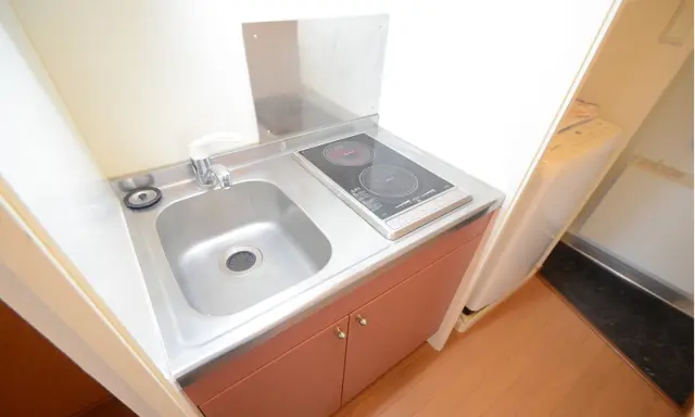 レオパレスオリエンタル 202号室 3