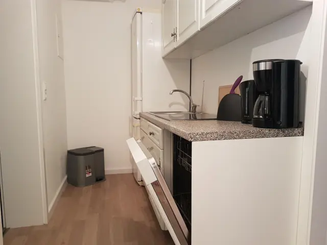 apartment in Grunewald 1
