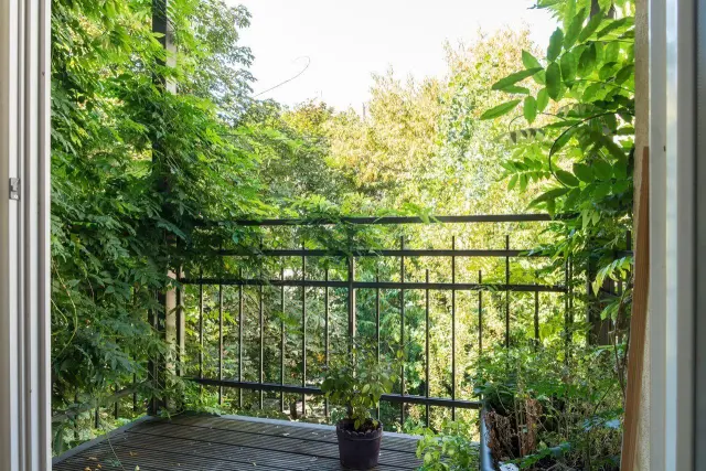 apartment in Prenzlauer Berg 1
