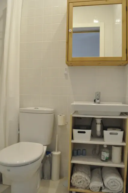 studio in Lavapiés  Embajadores (Centro) 2