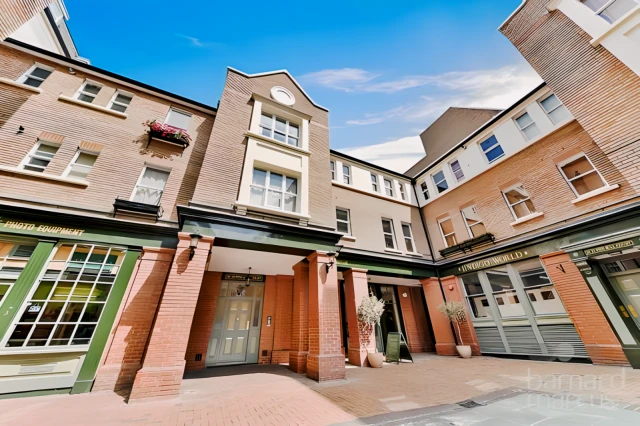 Pied Bull Court 1