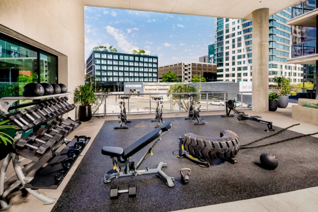 The Rise Hollywood 1