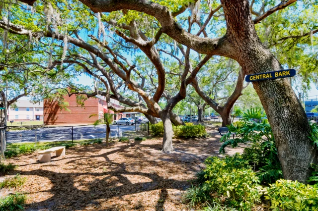 Campus Crossing on Alafaya 3