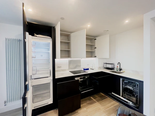 HL-Silverleaf House 3