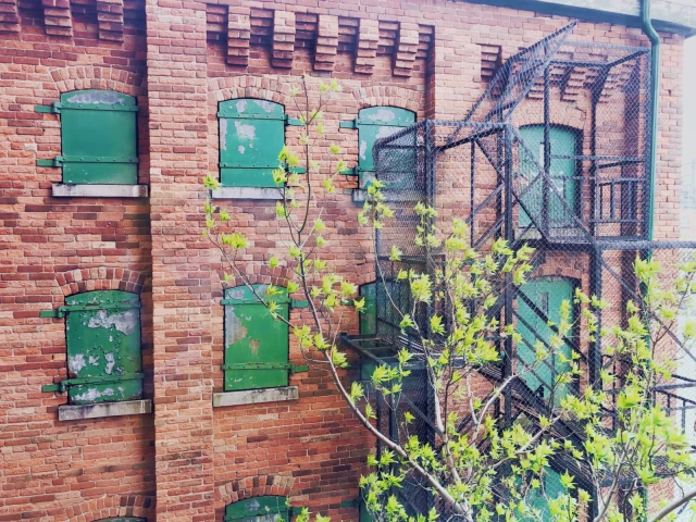 Harrington Housing - Mill St.