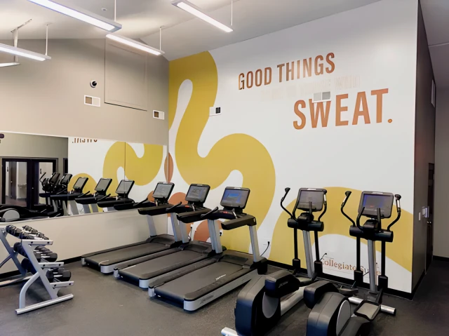 Collegiate Suites & Hunters Ridge 2