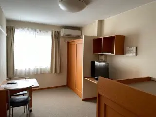 レオパレスエスポワール折立Ⅰ 208号室 3