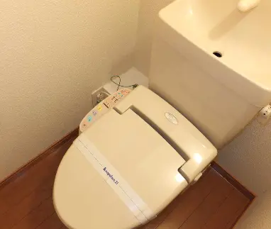 レオネクストアイオーン 202号室 3