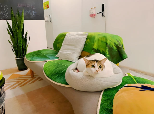 Sham Shui Po Super Warm Theme Apartment 3