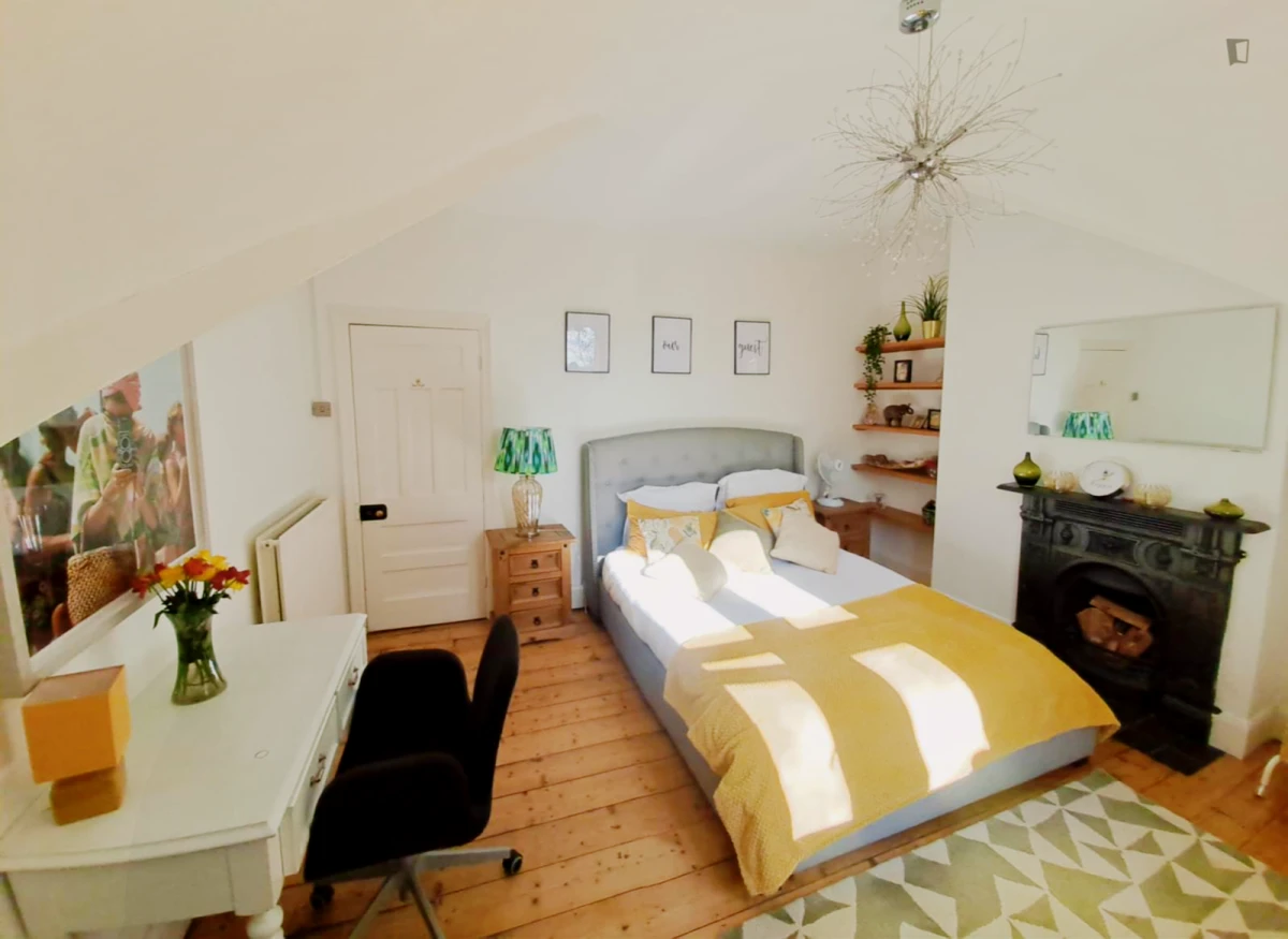 Very charming ensuite double bedroom, in a victorian 6 bedroom house - Cardiff student accommodation