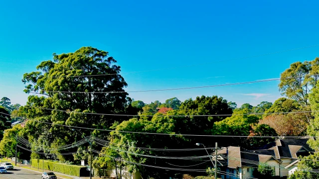 706/7 Rutledge Street,Eastwood,New South Wales 2122 - ที่พักนักศึกษาในซิดนีย์ - สวน