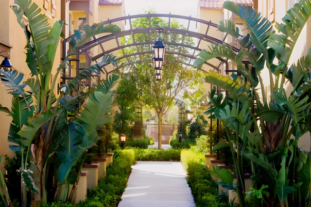 Woodbury Court 3