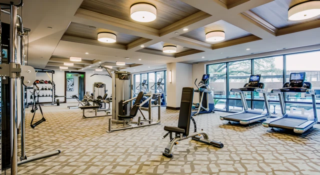 The Carter Apartment 4