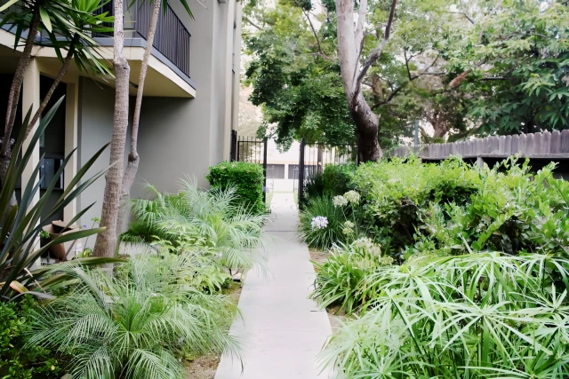 2356 Portland St. - Los Angeles student accommodation - Courtyard
