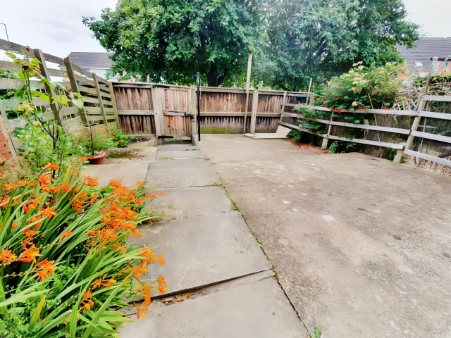 Consort View 22059# 3