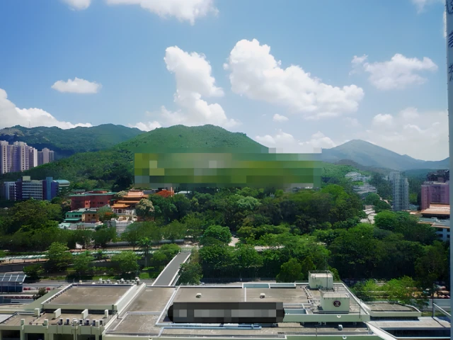 [Near CUHK] Fanling City Center 4
