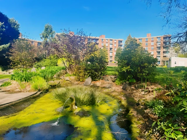 Woolmead Avenue 24138# 3