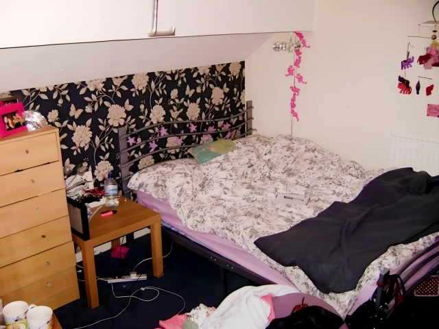 Royal Park Mount 24207# 1