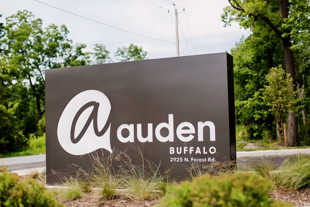 Auden Buffalo 1
