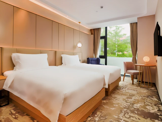 TRUEGO HOTEL X (Shenzhen Bay Port Branch)