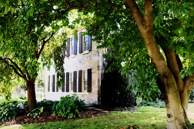 Wynnewood Park Apartments 2