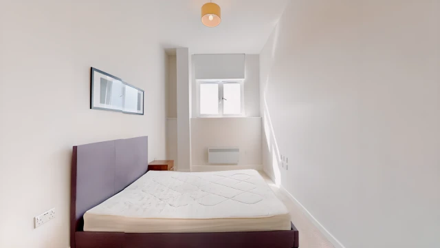 Atkinson Street 28046# 3