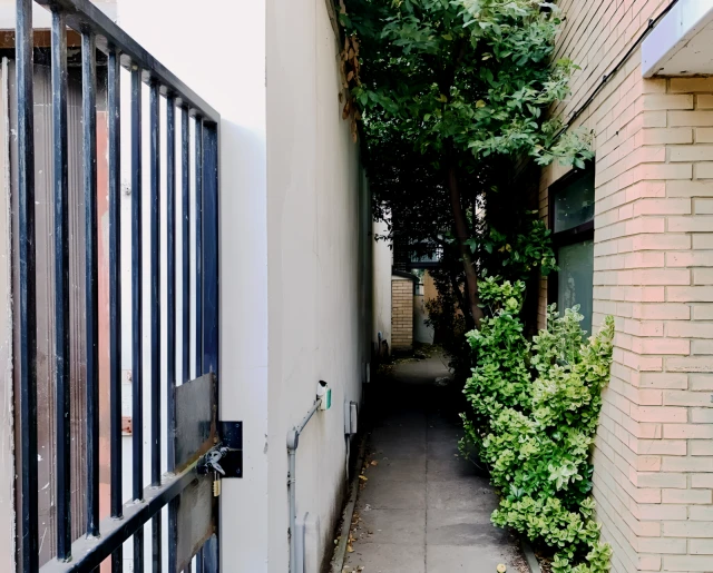Laugan Walk 28200# 1