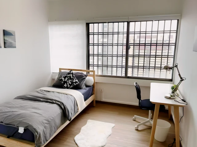 Chinatown Apartment Co-Living - Tok - Singapore student accommodation - Single Common Room (Shared Bathroom)