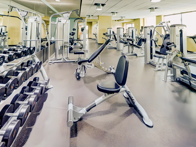 8 1/2 Canal Street 4