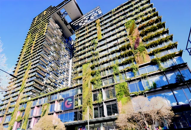 3 Carlton St - Sydney student accommodation