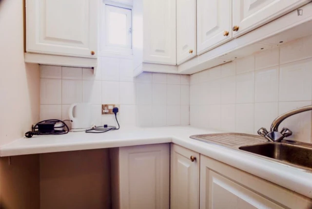 Bright double bedroom in a 9-bedroom flat, near Kilburn tube station - alojamiento para estudiantes en Londres - Private bedroom