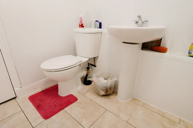 apartment in Mile End 2