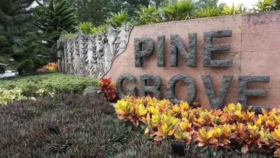 Pine Grove Apartment near NUS/SIM/Curtin 0