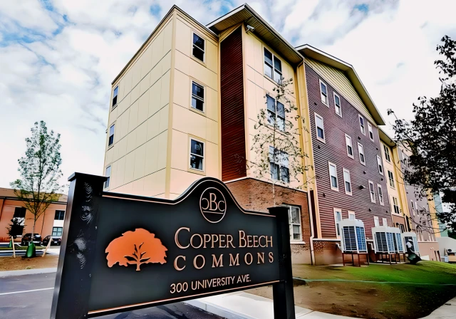 Copper Beech Commons 1