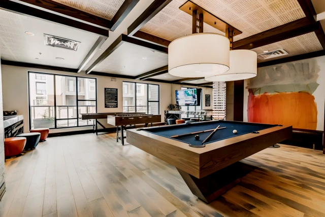 MCK203 - Elizabeth's Oasis'- Luxury 2BD/2BA Furnished Apartment - McKinney student accommodation - Pool Table