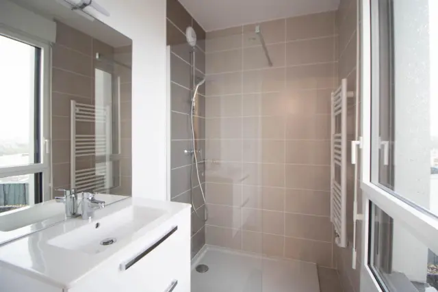 apartment near Cours Emile Zola 2