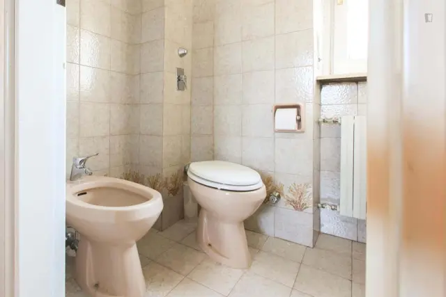 Appartamento con terrazzo e garage Crocetta/Pta Romana 1