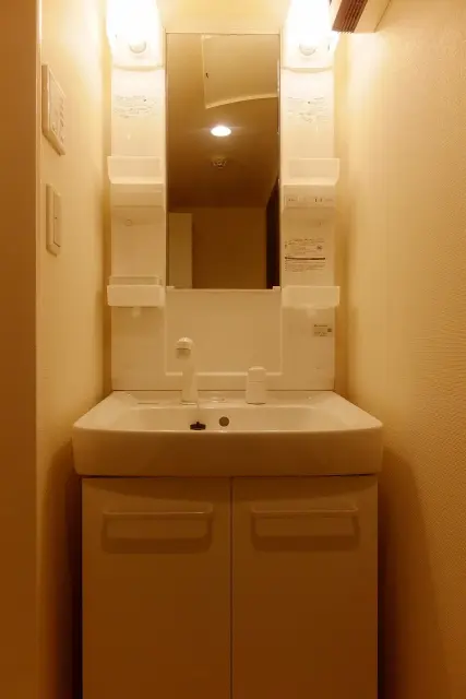 レオネクストｍｉｔｕｙｏｓｈｉ 302号室 4