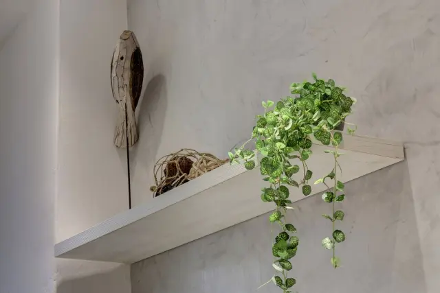 Conce Apartment 1