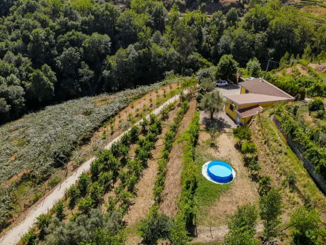 Casa dos Limoeiros em Ribas 0