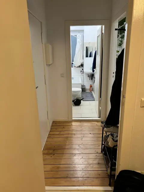 apartment in Mitte 1