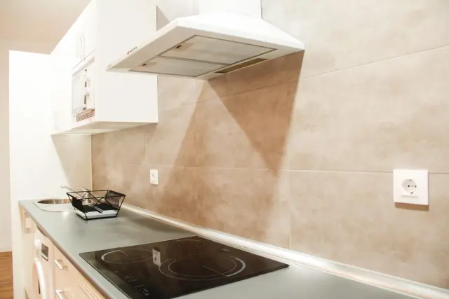 apartment in Lavapiés  Embajadores (Centro) 0